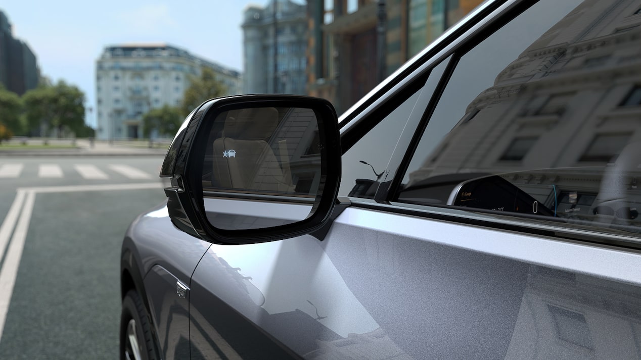 HD surround vision cameras in outside mirrors.